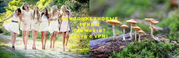 Альфа ПВП Липки