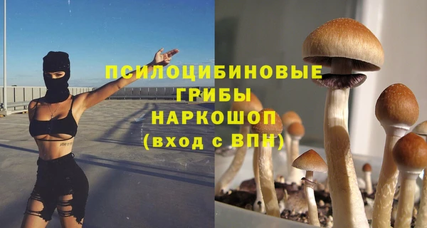 дмт Лагань