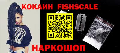 стафф Камышлов