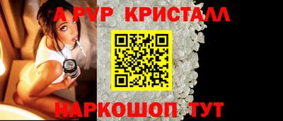 спиды Канаш