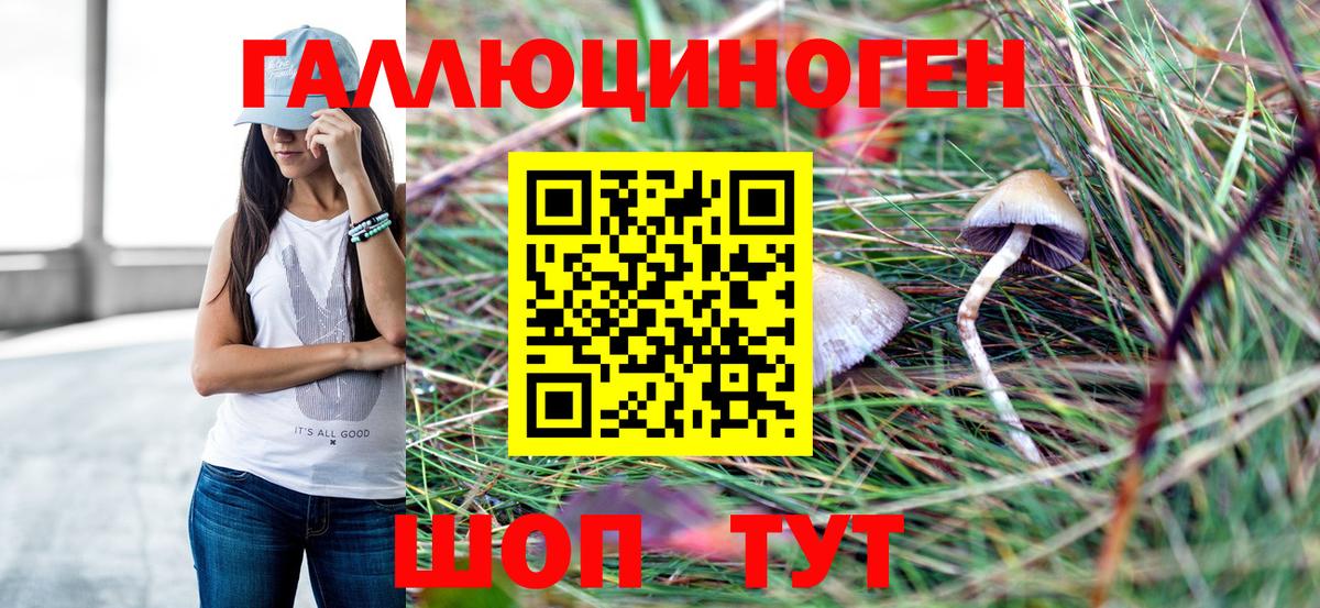 Галлюциногенные грибы Cubensis  Псилоцибиновые грибы мицелий  Лыткарино 