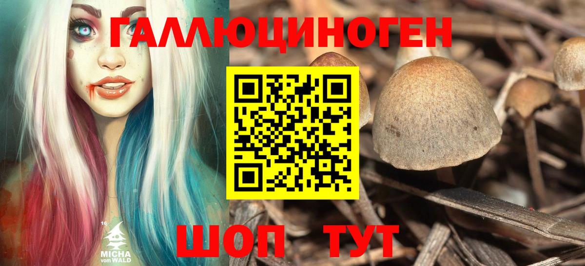 Галлюциногенные грибы прущие грибы Лыткарино